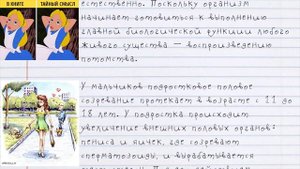 ПОЛОВОЕ СОЗРЕВАНИЕ. Подростковое ПОЛОВОЕ СОЗРЕВАНИЕ. Периоды развития ОРГАНИЗМА.