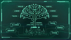 В сельскохозяйственную отрасль китайской провинции Цзянсу пришли цифровые технологии