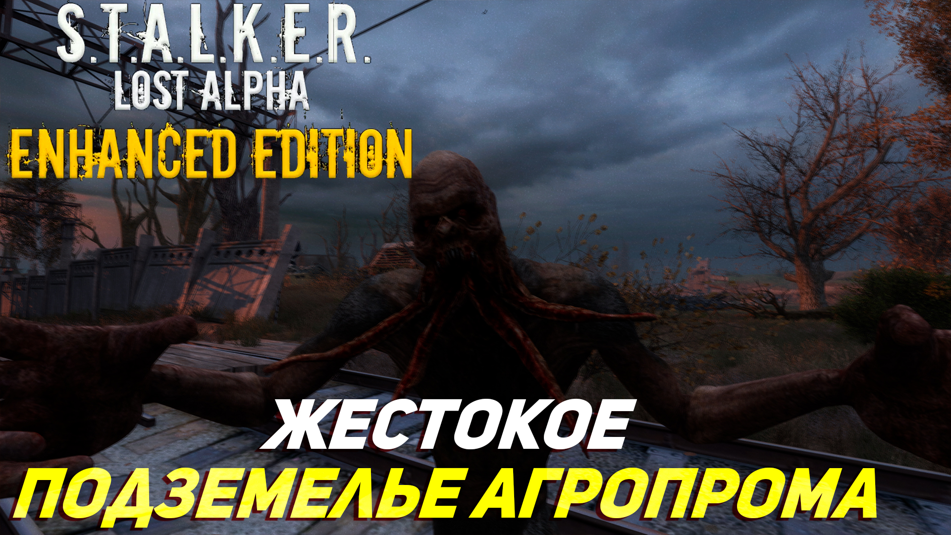 ЖЕСТОКОЕ ПОДЗЕМЕЛЬЕ АГРОПРОМА ➤ S.T.A.L.K.E.R. Lost Alpha Enhanced Edition #5