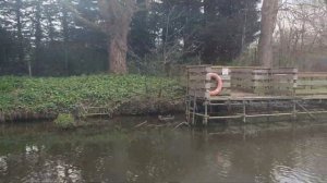 #англия  #travelwithkids #england #великобритания #река #семья #история #london #life #люди #uk