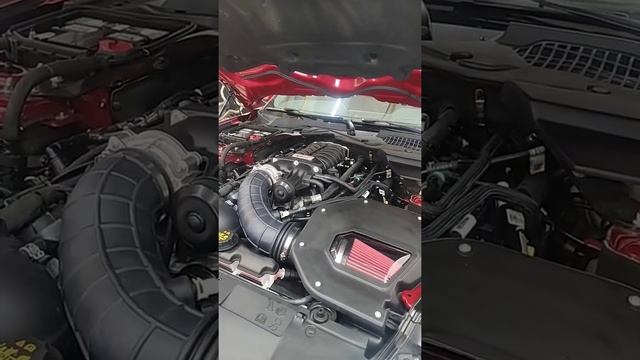 2020 Mustang GT + Roush Supercharger Results !!