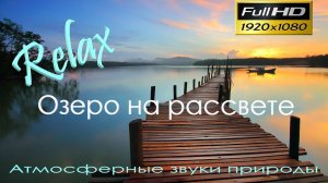 4K⚜️ Утреннее озеро пение птиц звуки природы релакс медитация music therapy асмр жизнь в деревне