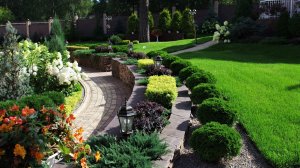 ?50+Лучших Идей для Сада / Great garden ideas / A - Video