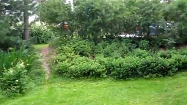 Canon Digital Ixus 100IS смотреть онлайн