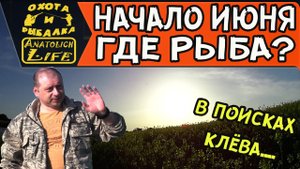Рыбалка, где искать рыбу.