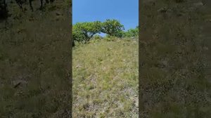 Остров Путятина, Дунай, Приморский край ч.1