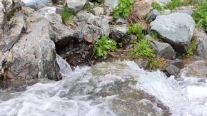 С горы течёт вода! .. идти ли мне дальше?