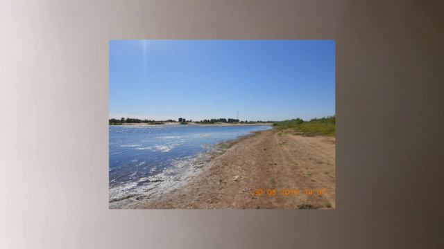 Н.Царевская. "Мы пойдем с конем". #МарафонТремоло смотреть онлайн