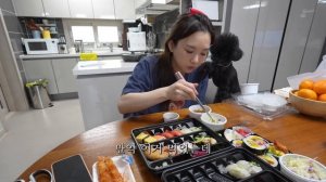 초밥 먹방으로 새로 산 마이크 테스트?ㅣ대청소,초밥,후토마키,햄버거,정북토성,먹방브이로그ㅣHamzy Vlog