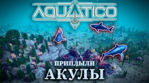 ПЕРВЫЕ ПОСТРАДАВШИЕ|#3| Aquatico Прохождение