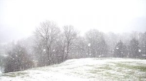 Каскадное сухое голодание..