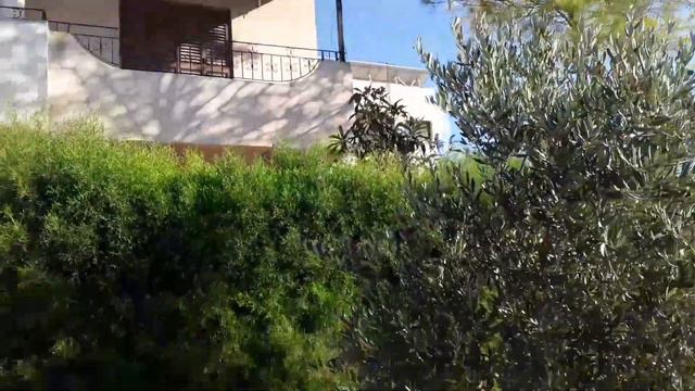 VLOG: Дом с привидениями, Не детские игрушки, Шезлонги , Собаки, Сумасшедшая Эмили)) смотреть онлайн