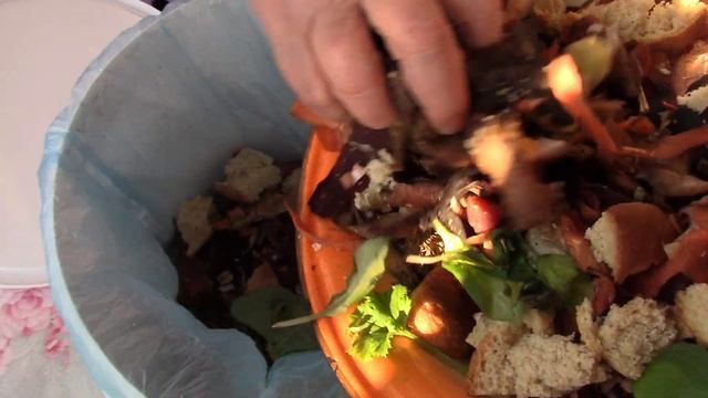 Утилизация кухонных отходов . Отличное удобрение. смотреть онлайн