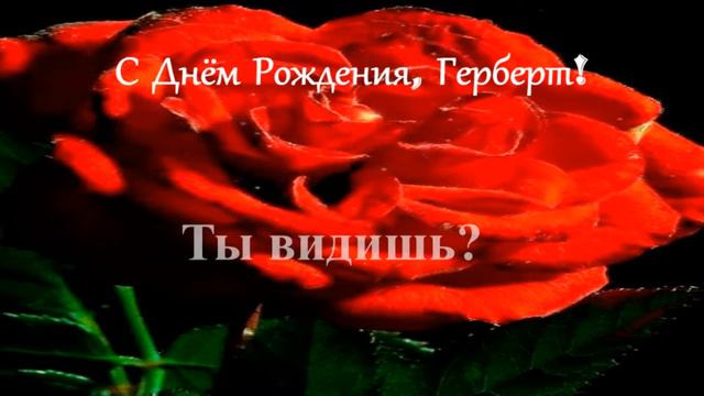 Смешное поздравление. С Днём Рождения, Герберт! смотреть онлайн