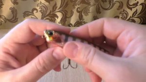Видеообзор воблера DUO Realis Pencil 85 по заказу Fmagazin