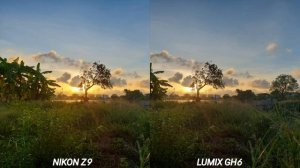 Panasonic LUMIX GH6 vs Nikon Z9 Camera Test | Panasonic best