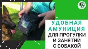 Кинологический центр Барс. Супер сумка для умных собак.