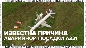 Завершено расследование посадки самолета в кукурузном поле в 2019 году - Москва 24