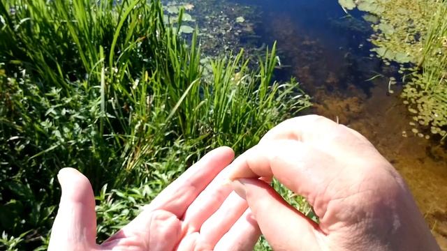 Крючки owner pin hook № 12 ( обзор ) смотреть онлайн