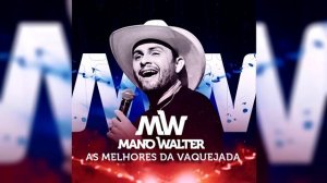 MANO WALTER - SELEÇÃO ANTIGAS DA VAQUEJADA