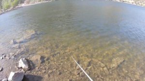 Fishing Eastern Nevada's Beautiful Echo Canyon and Eagle Valley Reservoirs. Lots of Largemouth Bass