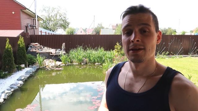 ВО ВСЕ ТЯЖКИЕ или ИЗВЕСТКОВАНИЕ ПРУДА для очистки воды: методика и результаты