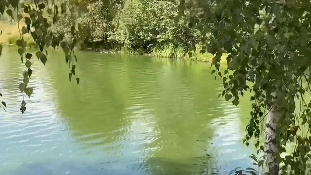 ВИТАЛИКУ И АНГЕЛИНЕ ВЕСЕЛО! НАШЛИСЬ. ПЛЕВАЛИ НА ВСЕХ. ВИТАЛИК И АНГЕЛИНА.