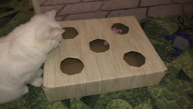 Запустил интерактивный шарик в норку Кошки заинтересовались смотреть онлайн