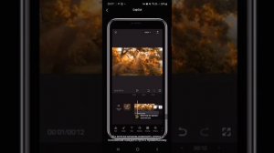 CapCut1. Основы редактора cap cat на русском языке Урок 1