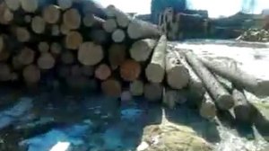 как надо лес в штабеля ложить