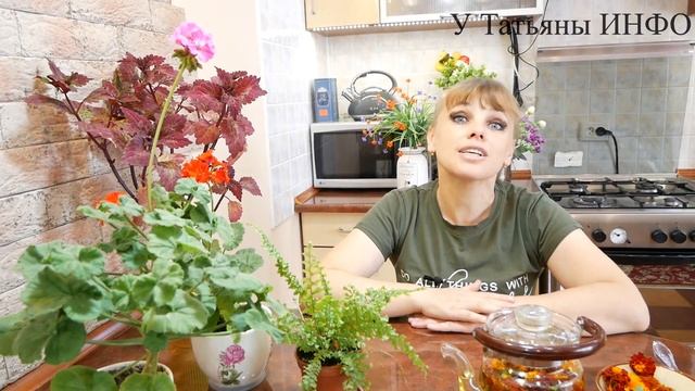 Жидкое Удобрение из Бархатцев для КОМНАТНЫХ РАСТЕНИЙ!