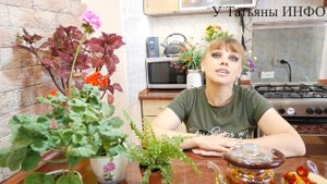 Жидкое Удобрение из Бархатцев для КОМНАТНЫХ РАСТЕНИЙ!