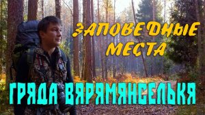 Поход вдоль реки Волчья по заказнику " ГРЯДА ВЯРЯМЯНСЕЛЬКЯ "