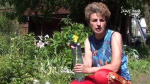 Чем подкормить растения  Удобрение Кимира с микроэлементами в хелатной форме