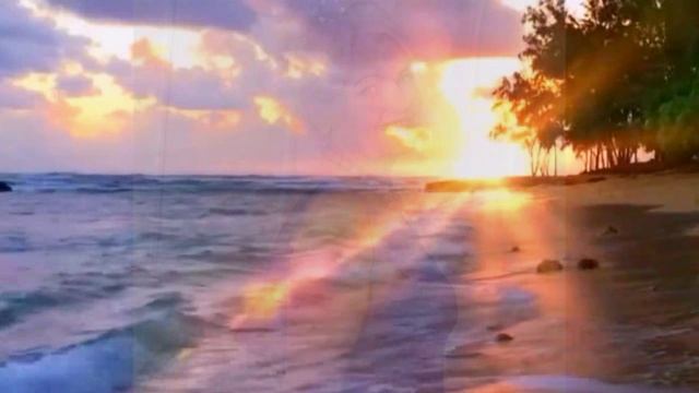 Владимир Сахарцев - Соната внешности (Э.Я.). Читает Владислав Витковский смотреть онлайн