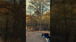 Дорога ведущая на туристский комплекс"Ахки-Тай" в горном Беное. Чеченская Республика.