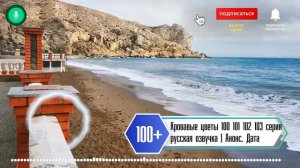 Кровавые цветы 100 101 102 103 104 серия русская озвучка