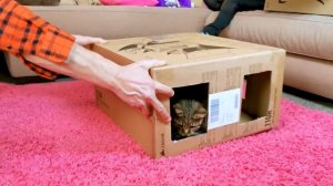 Домик для Кошек с Призраками на Хэллоуин! Домик для кошек из коробок своими руками