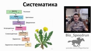 15. Систематика (Speedrun ботаника 6 класс, ЕГЭ, ОГЭ 2021)