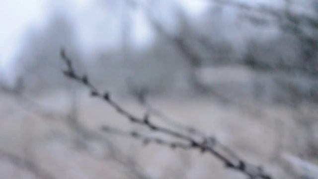 NATURE. Ощути природу. Падающий снег... смотреть онлайн