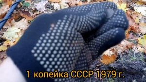 Скромный коп с Simplex +. Сигналы VDI на металлоискателе.