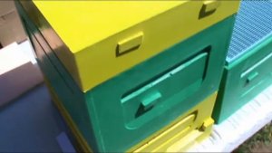 Ульи из ППС и ППУ Обзор улья Bee Happy + Результат  ЗАГОНА  пчёл в магазины !  Начинающий пчеловод