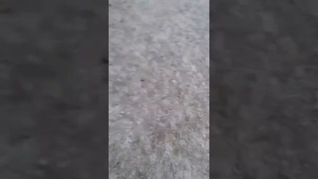 Драка века чуваку губу разбил!! смотреть онлайн