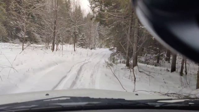 Ларгус кросс. ЭТИ тачки МОГУТ больше чем вы думаете. Лес... смотреть онлайн
