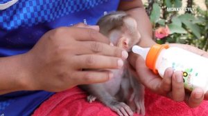 Cute Baby Drinking Milk With Milk Bottle| Good Health Lyly Sleep Milk