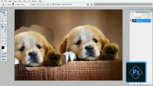 PS08 Learn Basics of Adobe PS Tutorial -  Clone Stamp Tool  Pattern Stamp Tool in Photoshop