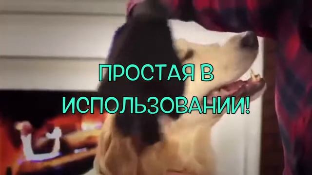 Перчатка для расчеcки шерсти животных. Удаление лишней шерсти у животных смотреть онлайн