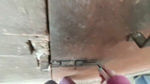 VLOG мой день на КОНЮШНЕ