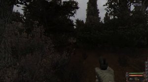 Прохождение S.T.A.L.K.E.R. DARK PATH #1
