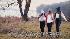 Что делать, если собака боится грозы?
